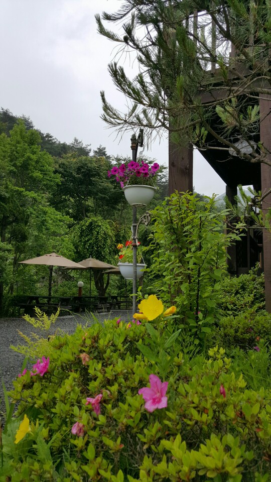 전경