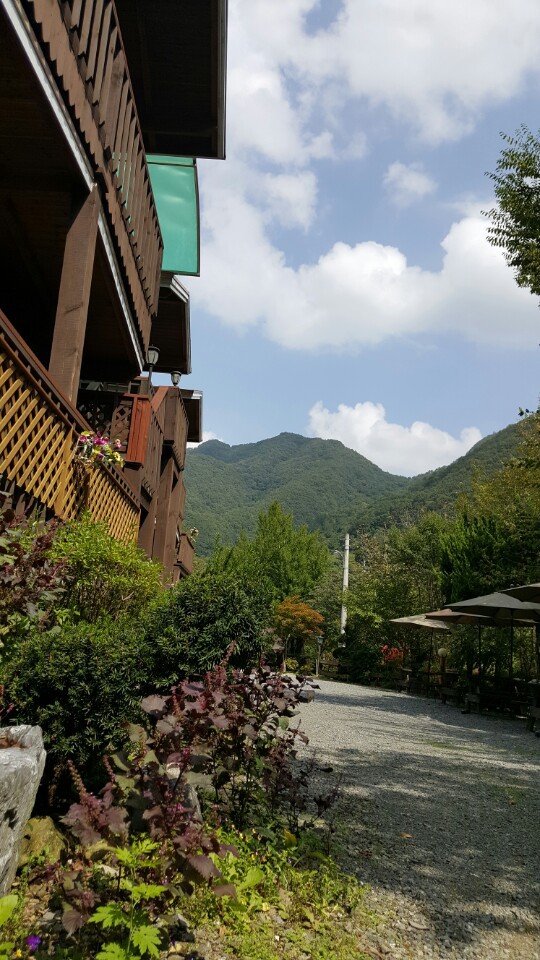 전경
