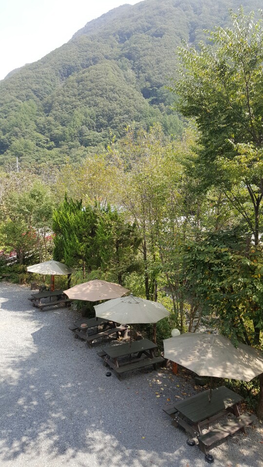 전경