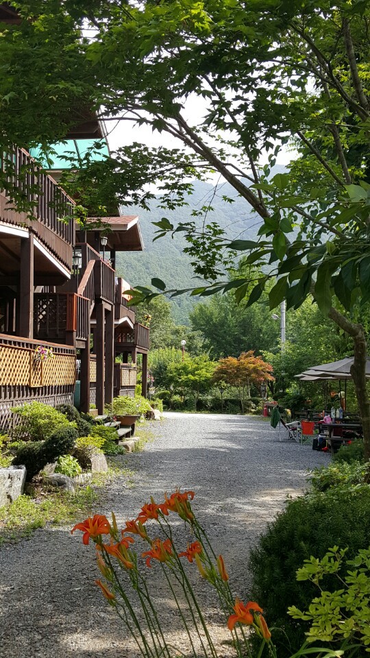 전경