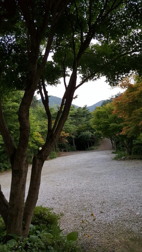 전경