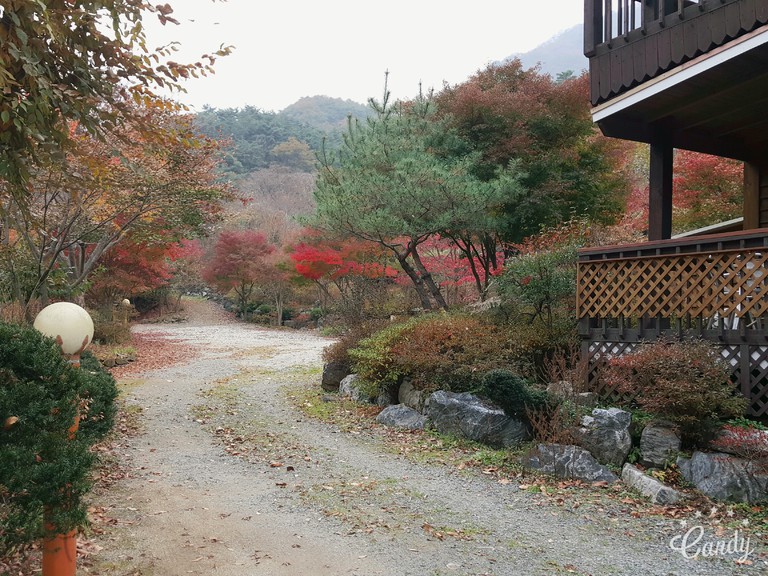 전경